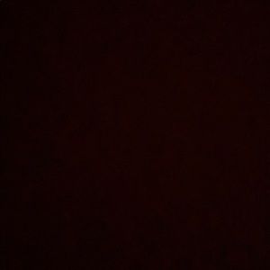 Meet your Posher, Kameron